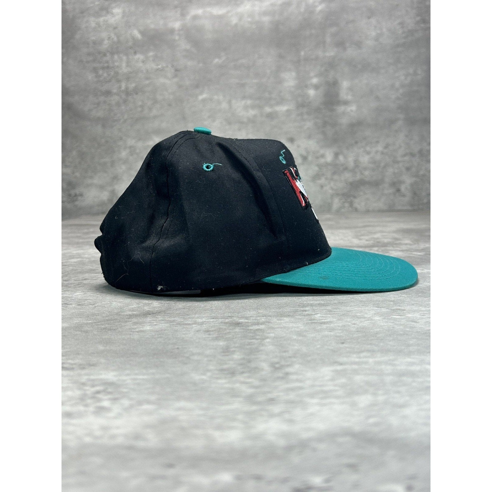 Vintage 90s The Hound WDDH 97.5 Embroidered Radio Promo Snapback Hat OSFA