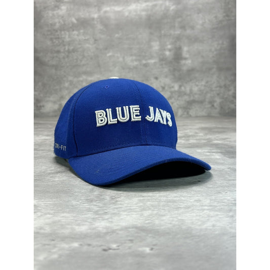 Toronto Blue Jays MLB Embroidered Spellout Baseball Snapback Hat OSFA