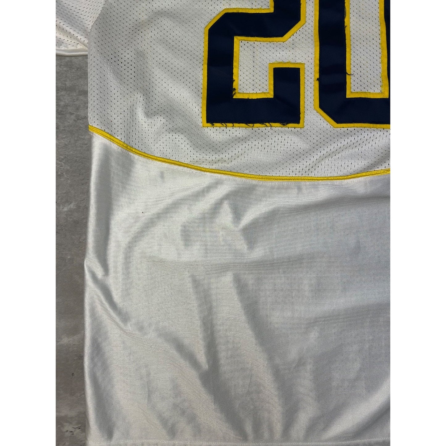 Vintage Michigan Wolverines #20 NCAA Nike Football Jersey Size XL