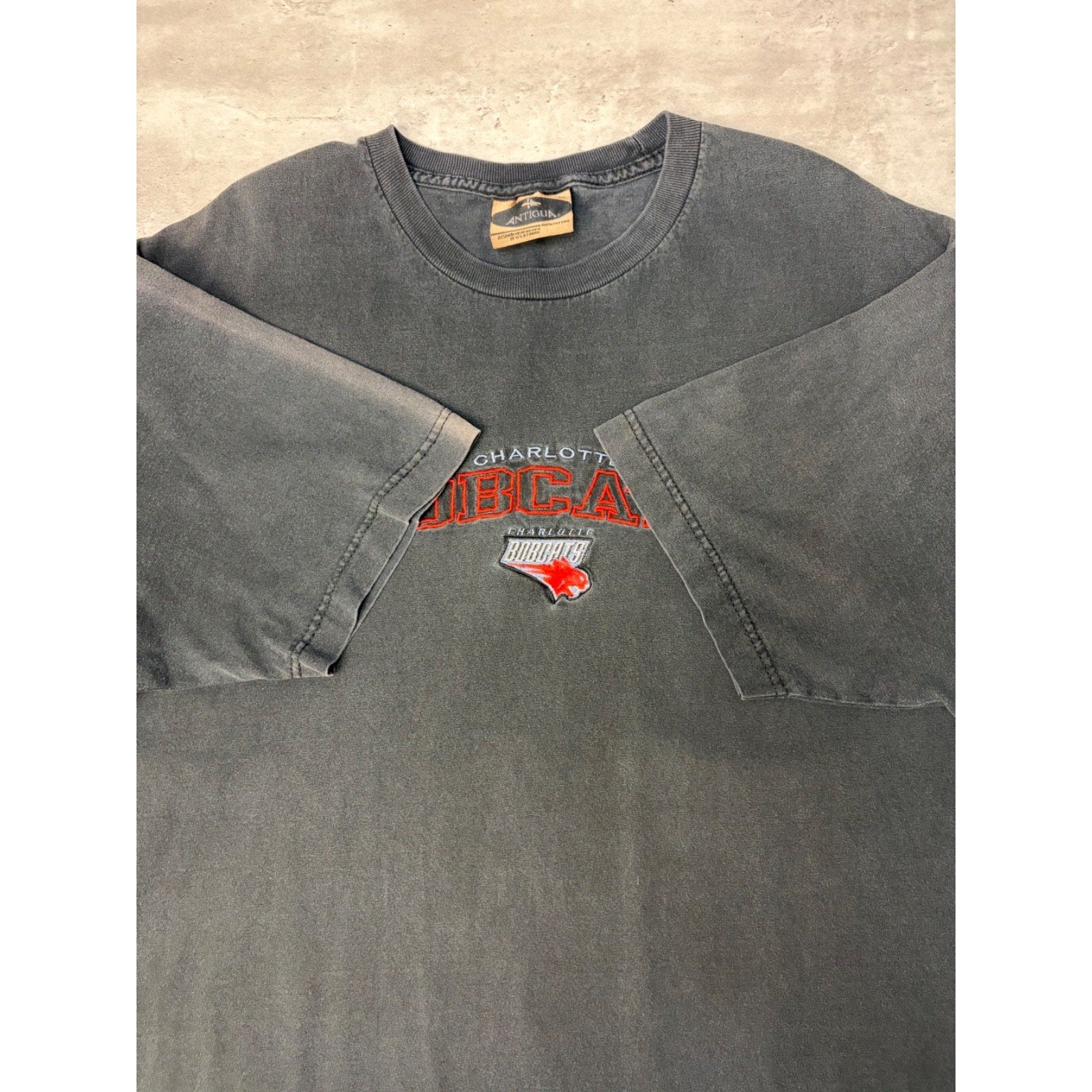 Vintage 90s Charlotte Bobcats Embroidered Spellout T-Shirt Size XL