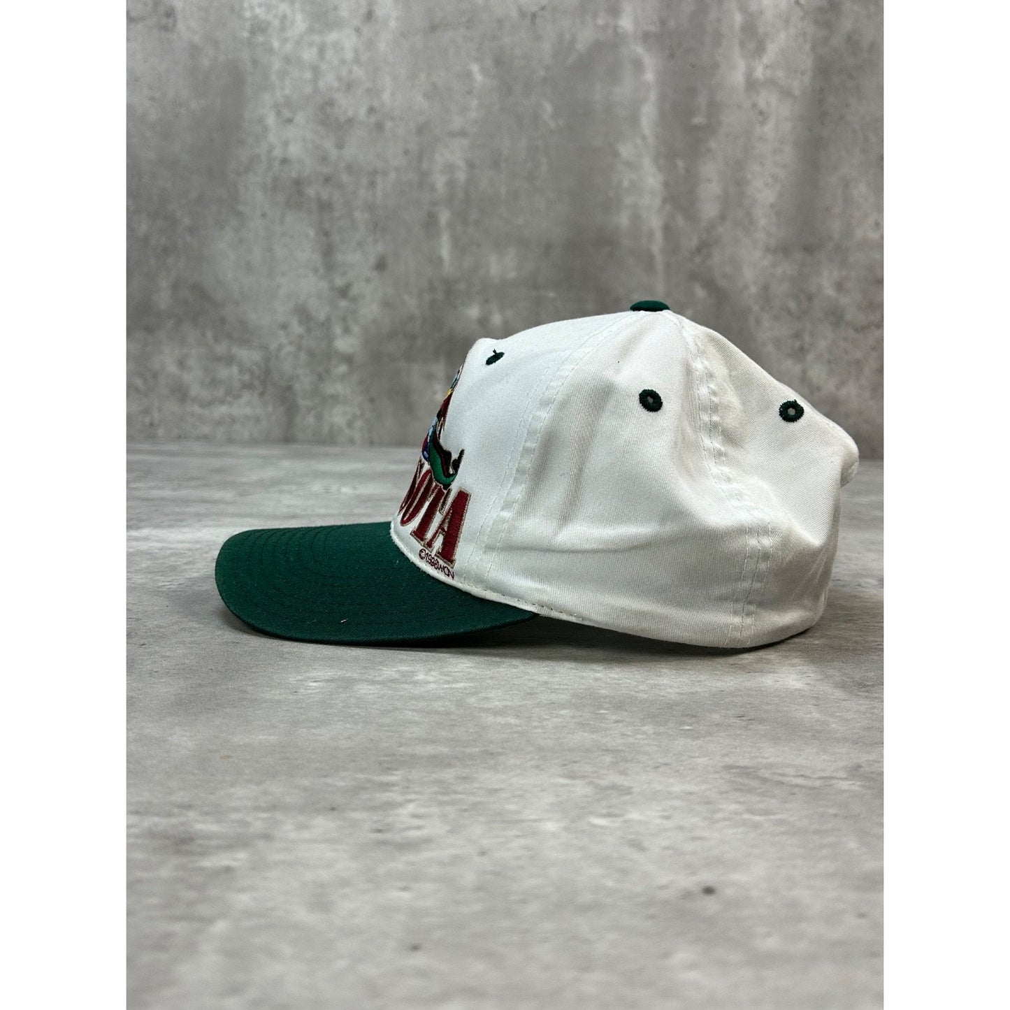 Vintage 1996 Minnesota Embroidered Spellout Destination Snapback Hat OSFA