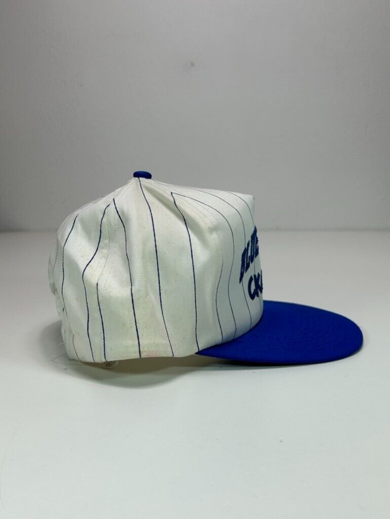 Vintage 90s Toronto Blue Jays MLB CKGL 570 Pinstripe Spellout Snapback Hat OSFA