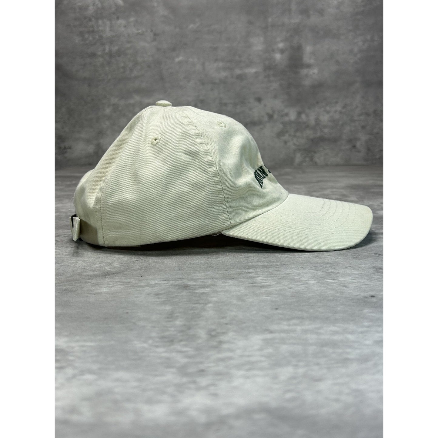 Vintage Michigan State Spartans NCAA Embroidered Spellout Strapback Hat OSFA