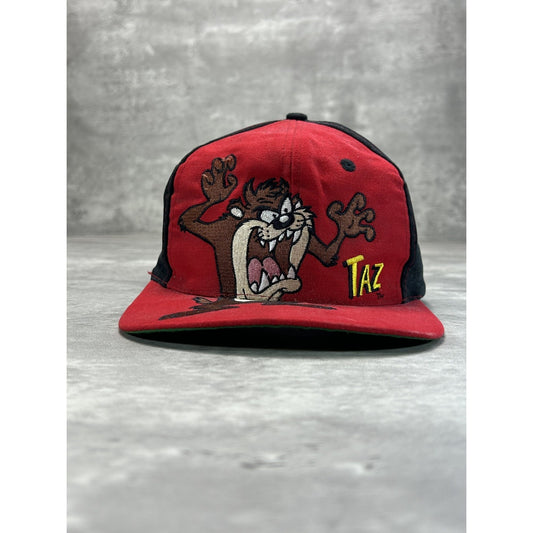 Vintage 1994 Looney Tunes Taz Embroidered Cartoon Character Snapback Hat OSFA