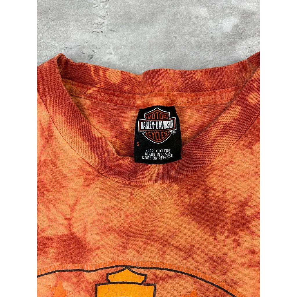 Vintage Harley Davidson Spellpout Graphic Tye-Dye T-Shirt Size Small