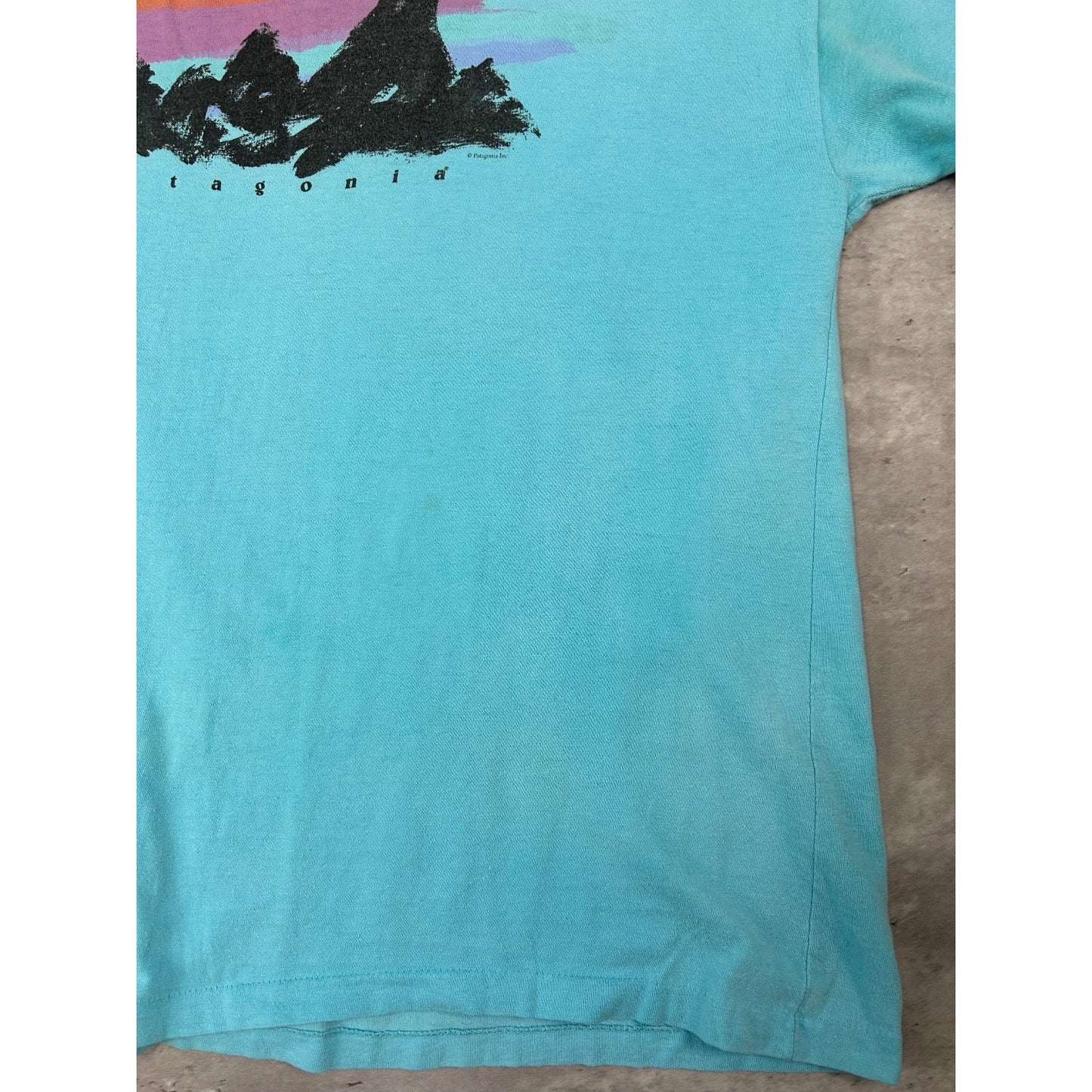 Vintage 90s Patagonia Painted Logo Graphic Spellout T-Shirt Size Large Blue