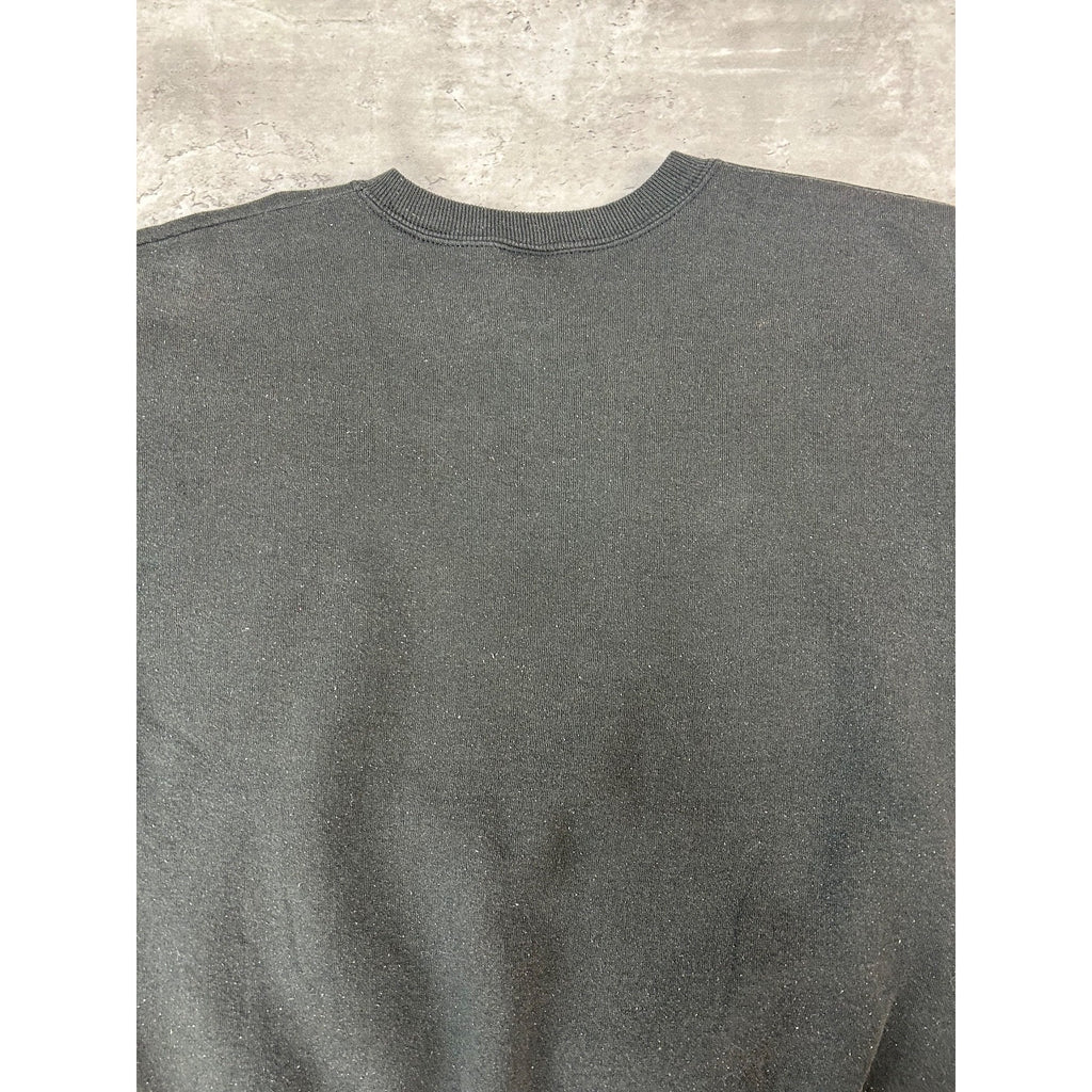 Vintage 1993 Carolina Panthers NFL Spellout Logo Graphic Sweatshirt Size Large