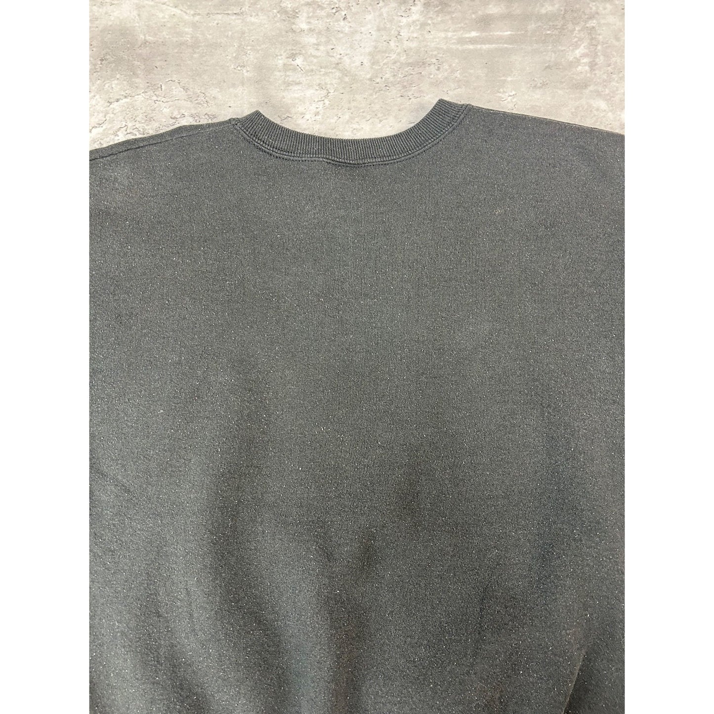 Vintage 1993 Carolina Panthers NFL Spellout Logo Graphic Sweatshirt Size Large