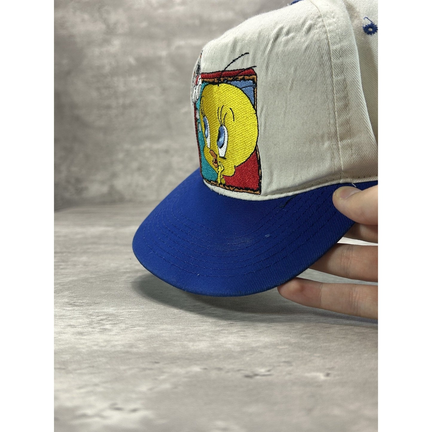 Vintage 90s Looney Tunes Tweety Bird Embroidered Cartoon Snapback Hat OSFA