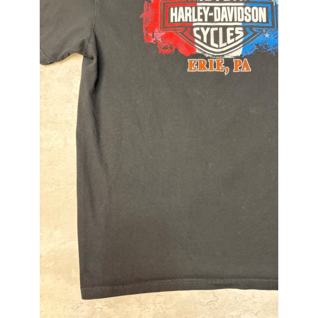 Vintage Harley Davidson Flaming Classic Logo Hog Graphic T-Shirt Size XL