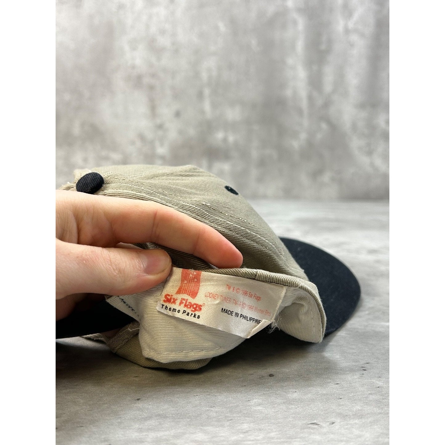 Vintage 90s Looney Tunes Taz Embroidered Character Snapback Hat OSFA