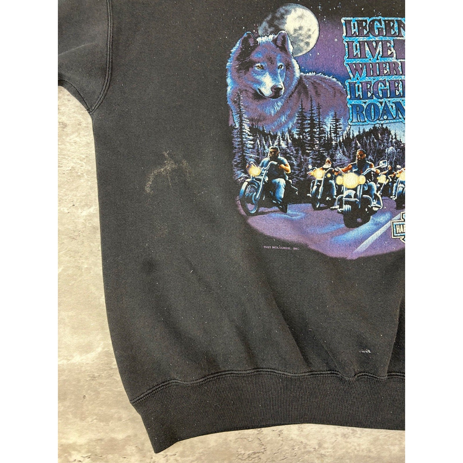 Vintage 1991 Harley Davidson Legends Live Where Legends Roam Sweatshirt Size XL