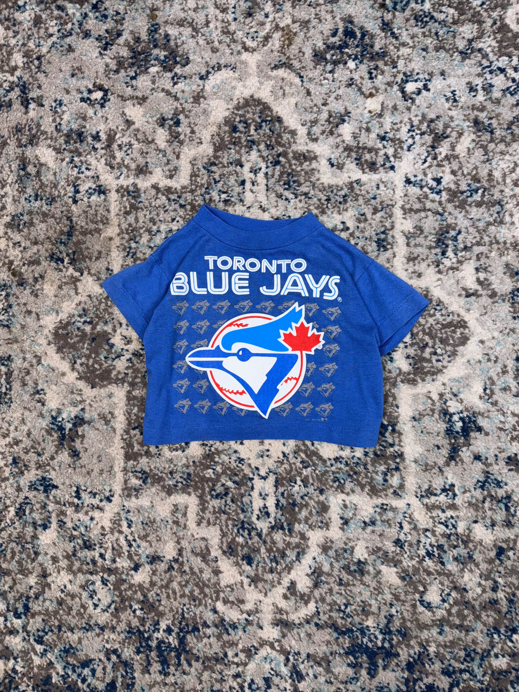 Vintage 1991 Toronto Blue Jays MLB Baseball Graphic T-Shirt Size YOUTH 2