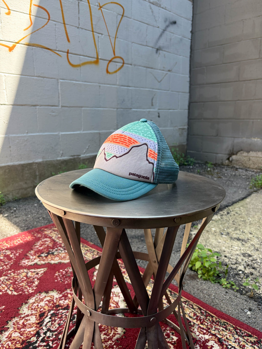 Vintage Patagonia Mountain Range Spellout Logo Trucker Snapback Hat OSFA