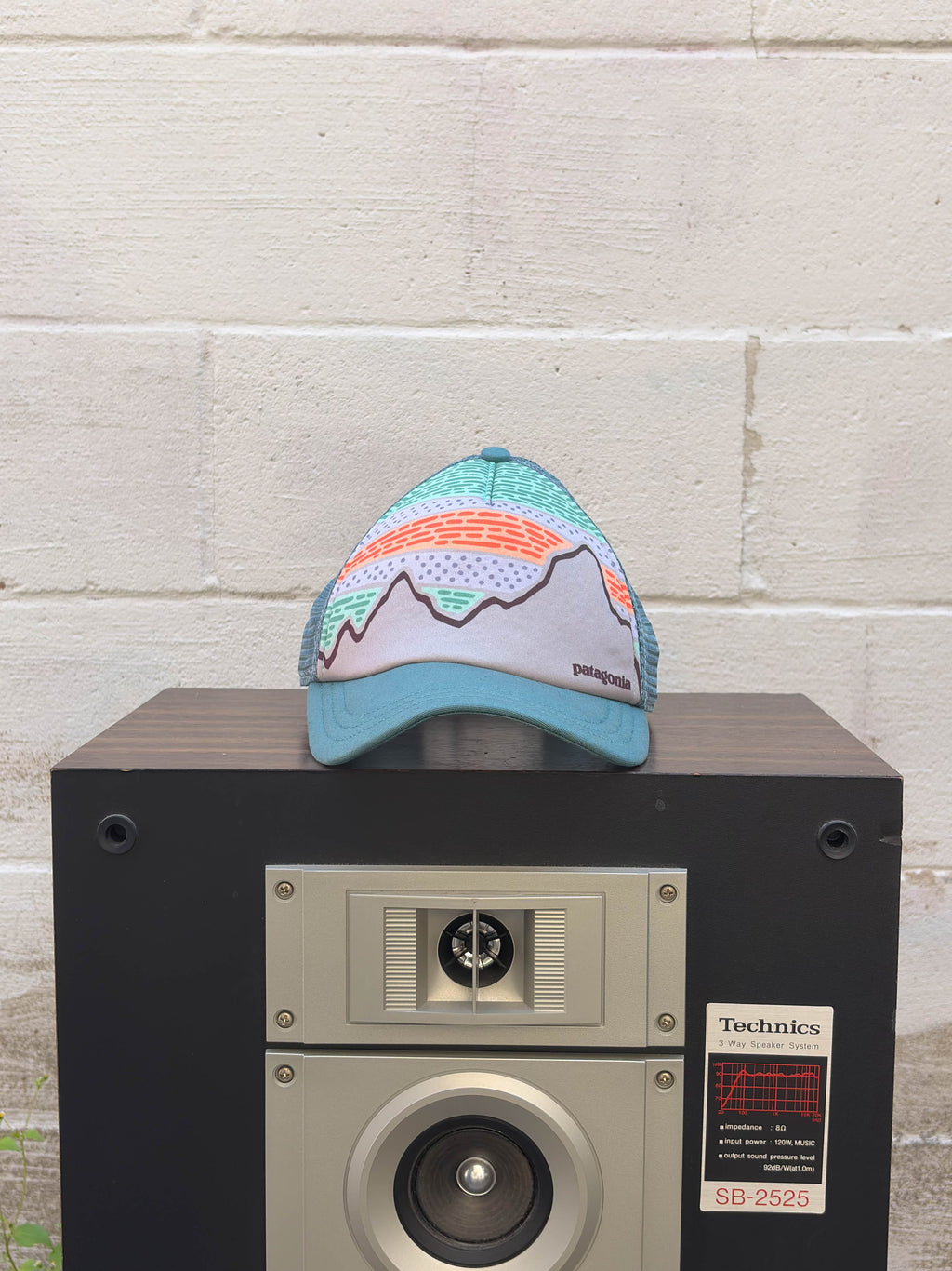 Vintage Patagonia Mountain Range Spellout Logo Trucker Snapback Hat OSFA