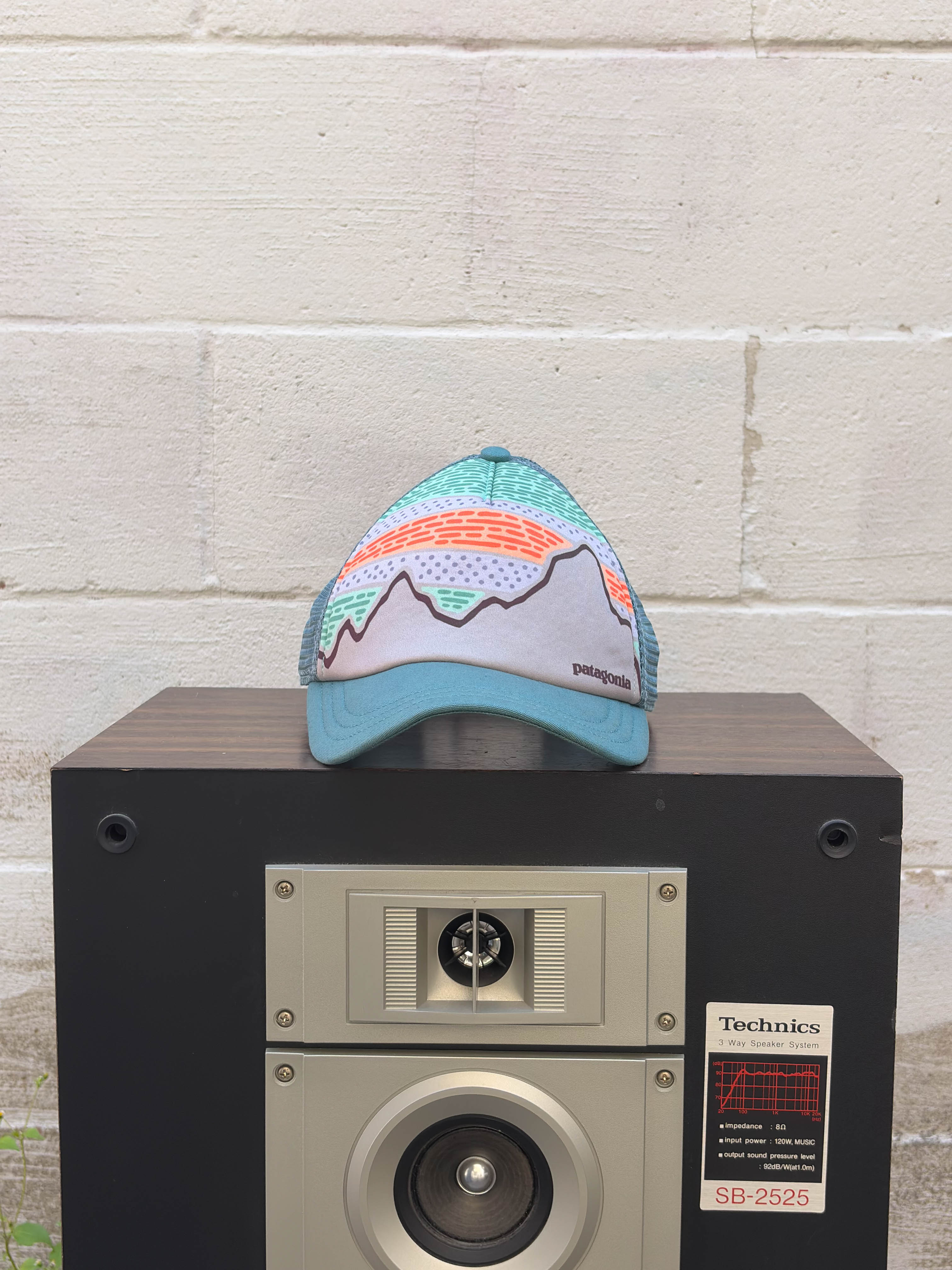 Vintage Patagonia Mountain Range Spellout Logo Trucker Snapback Hat OSFA
