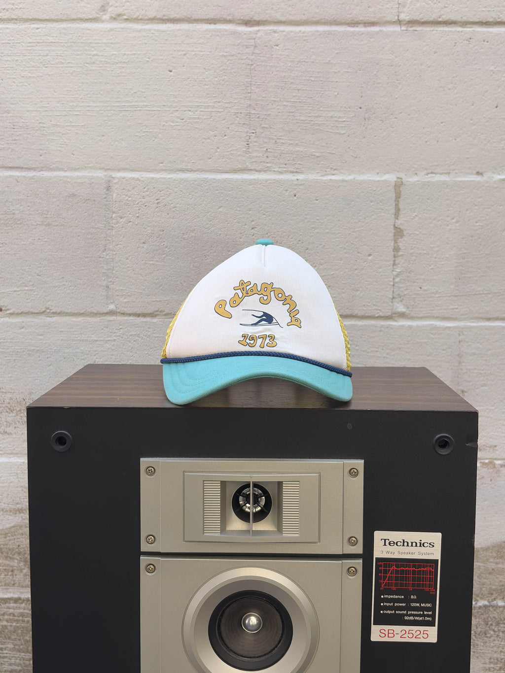 Patagonia Throwback Logo Spellout 1973 Trucker Snapback Hat OSFA