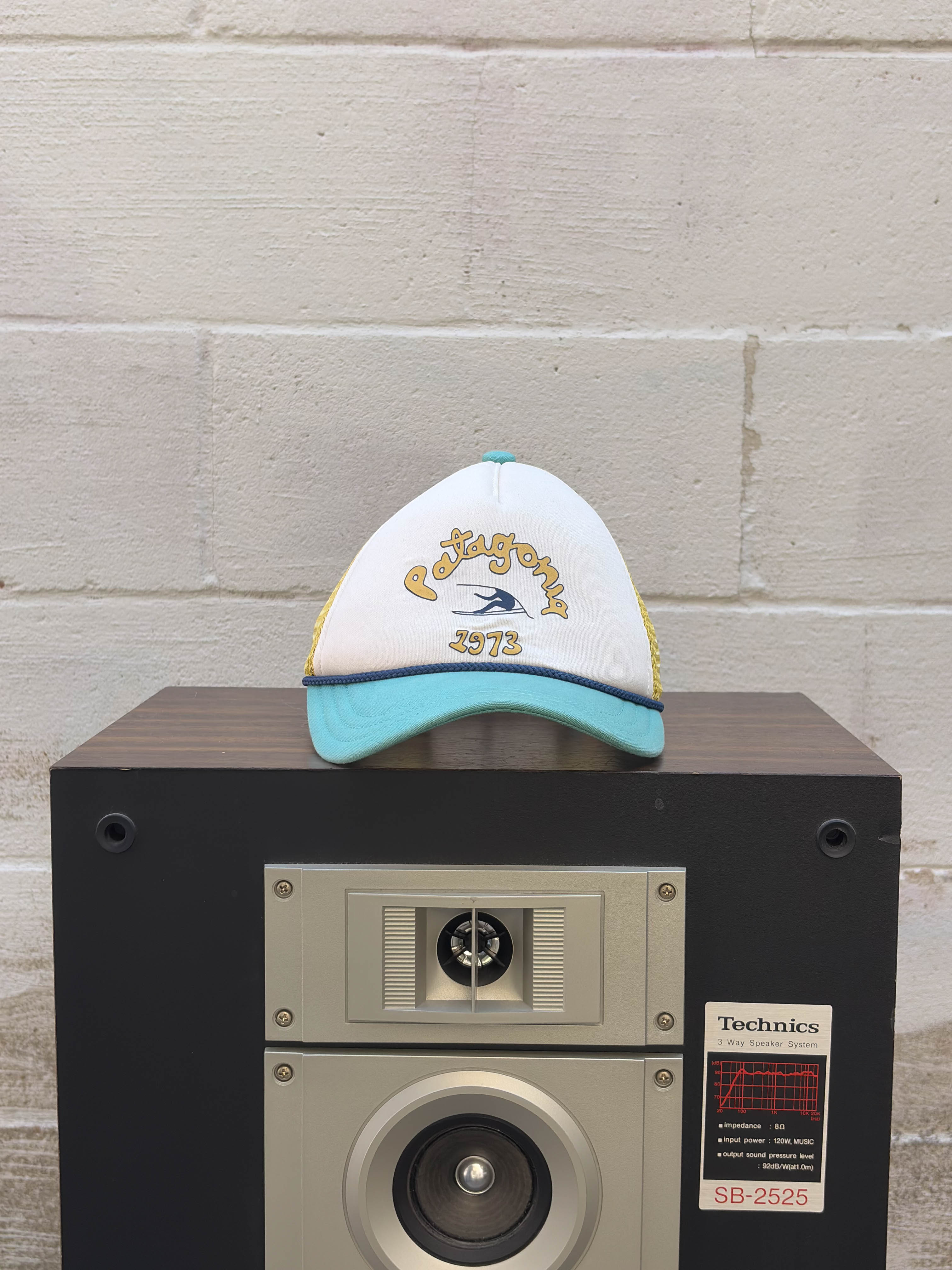 Patagonia Throwback Logo Spellout 1973 Trucker Snapback Hat OSFA