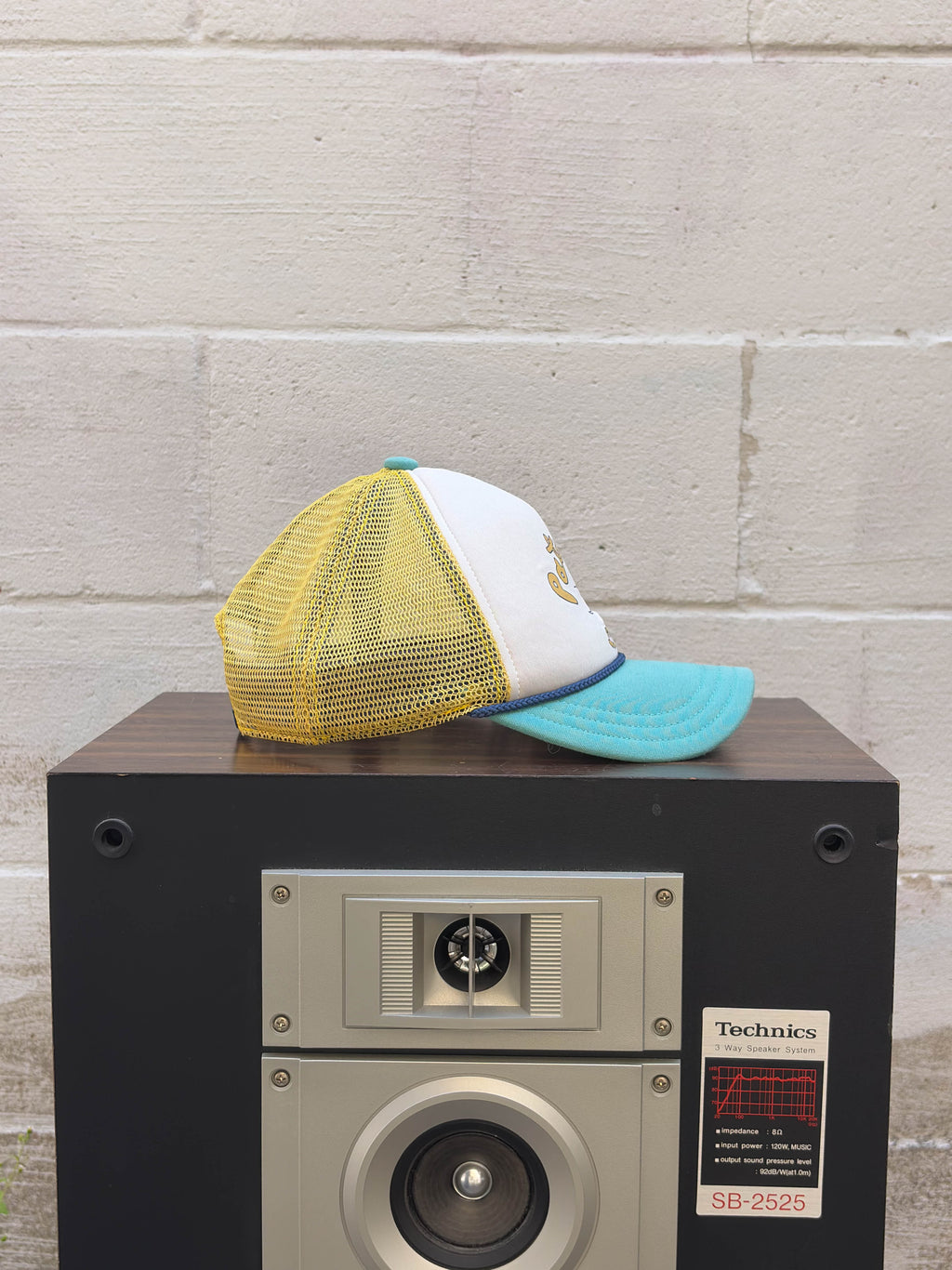 Patagonia Throwback Logo Spellout 1973 Trucker Snapback Hat OSFA