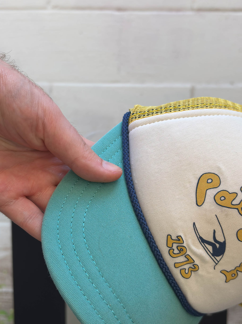 Patagonia Throwback Logo Spellout 1973 Trucker Snapback Hat OSFA