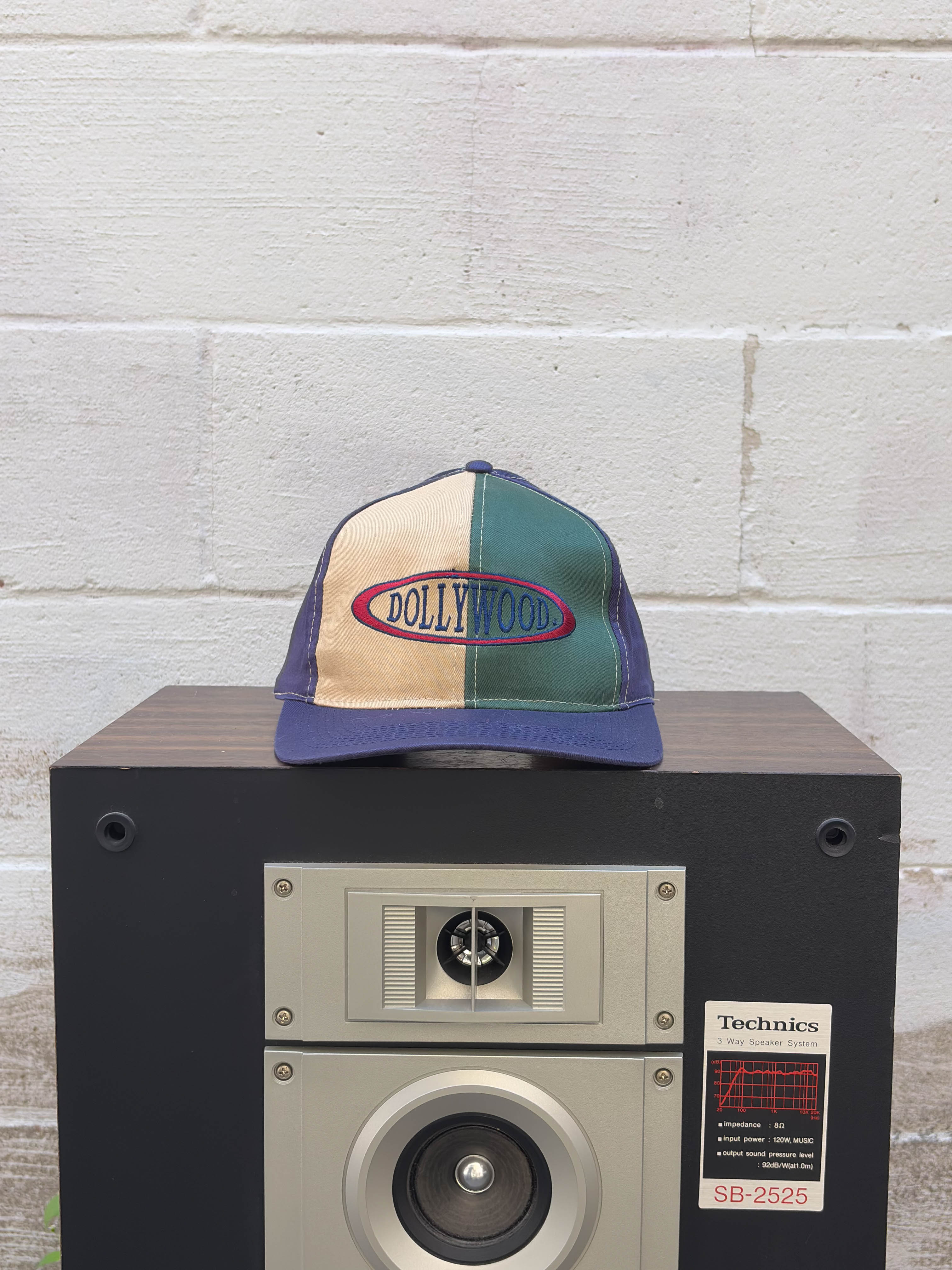 Vintage Dollywood Embroidered Logo Destination Snapback Hat OSFA