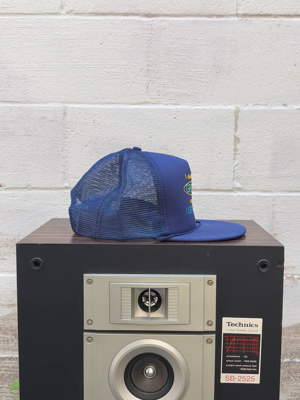 Vintage I Didn't Wake Up Grouchy Slogan Trucker Snapback Hat OSFA
