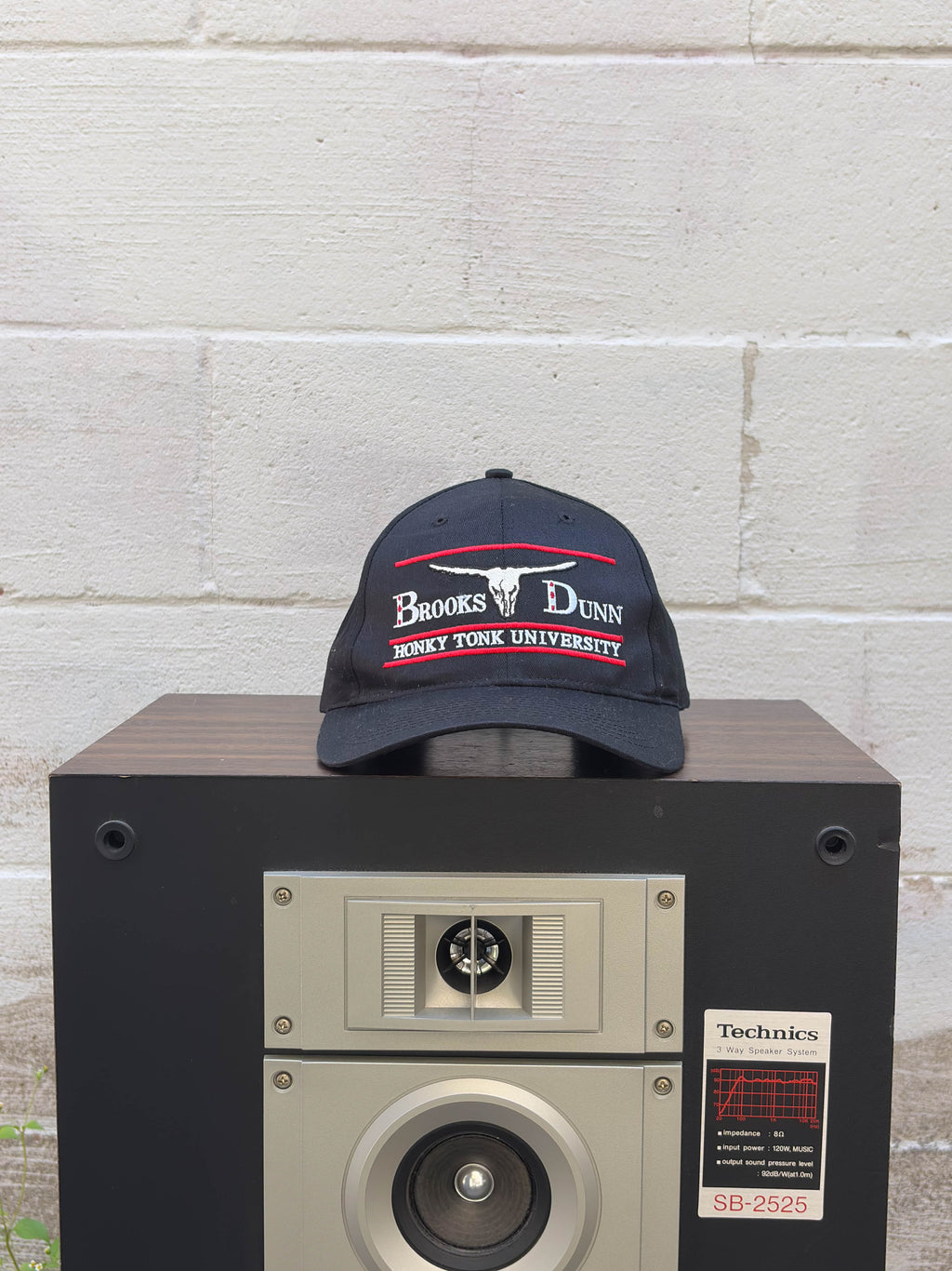 Vintage Brooks & Dunn Honky Tonk University Music Promo Snapback Hat OSFA