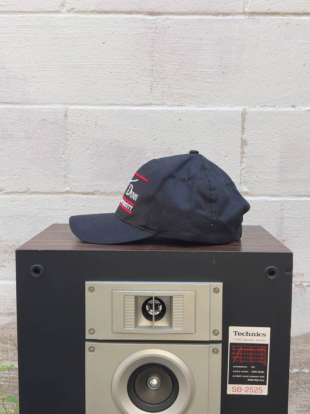 Vintage Brooks & Dunn Honky Tonk University Music Promo Snapback Hat OSFA