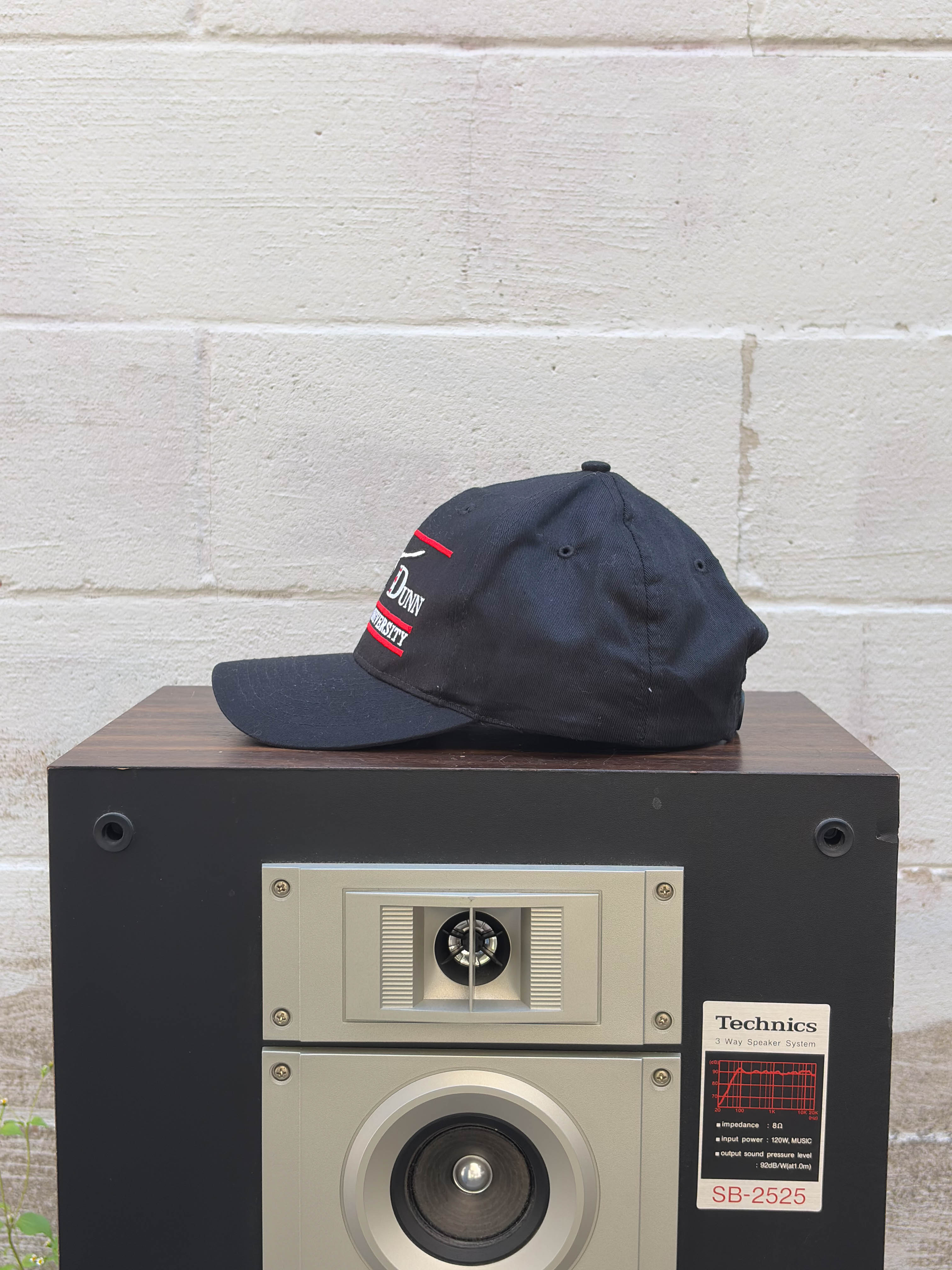 Vintage Brooks & Dunn Honky Tonk University Music Promo Snapback Hat OSFA