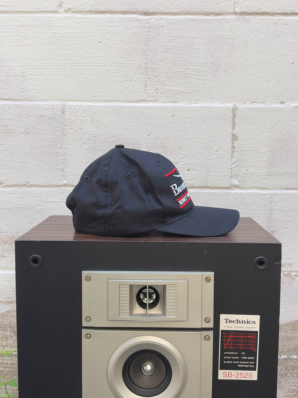 Vintage Brooks & Dunn Honky Tonk University Music Promo Snapback Hat OSFA