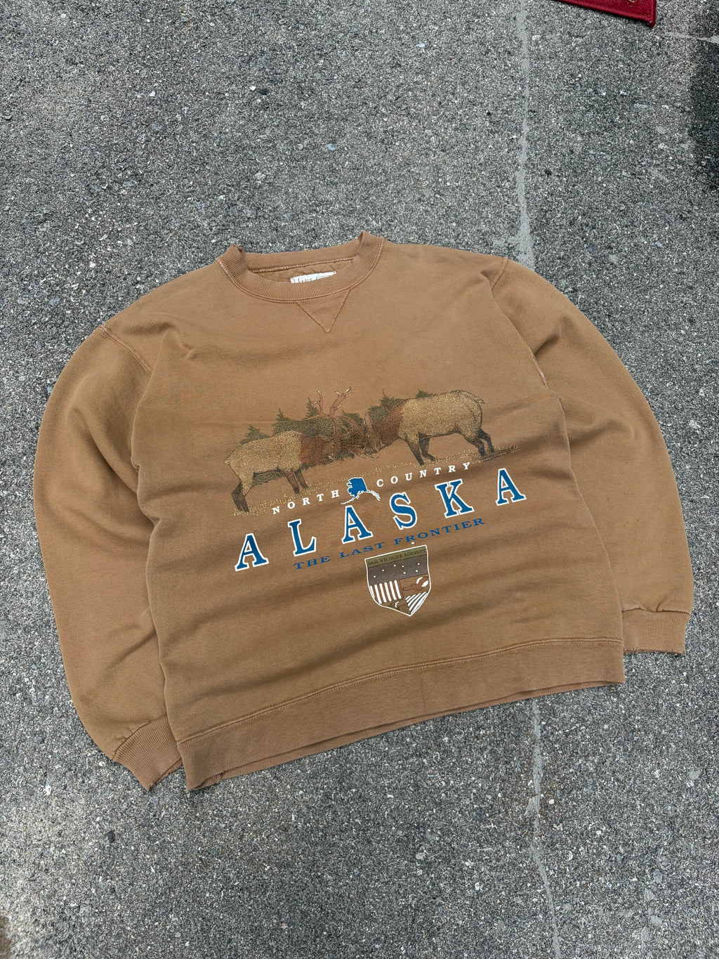 Vintage 90s Alaska The Last Frontier Nature Graphic Sweatshirt Size Small