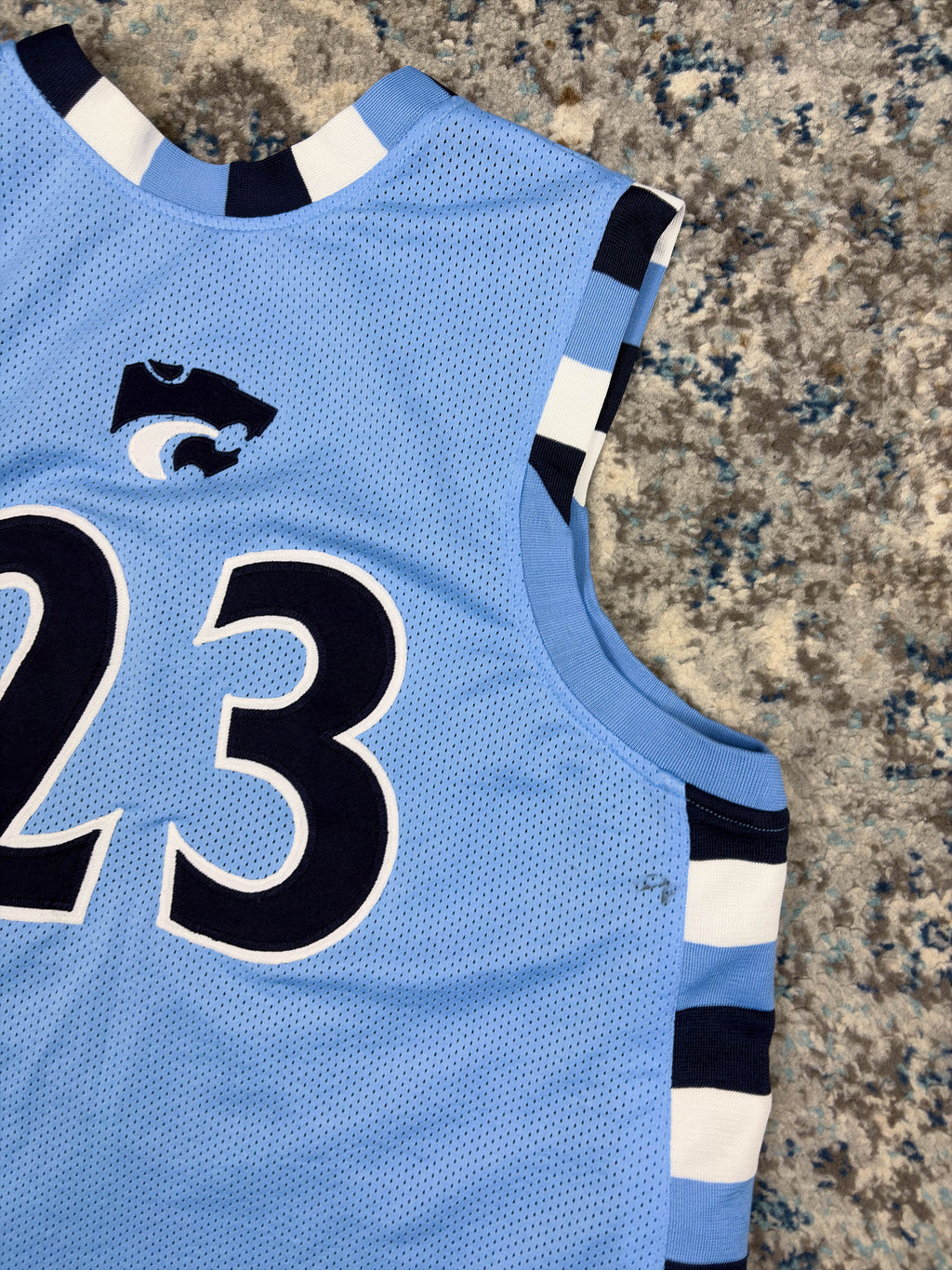 Vintage Depaw Wildcats NCAA Reversible Basketball Jersey Size XL