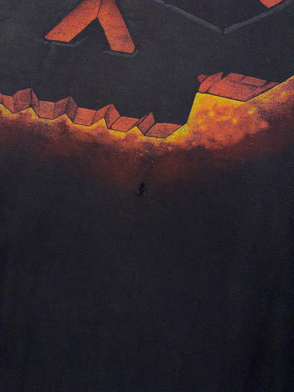 Harley Davidson Flaming Skull Graphic T-Shirt Size Medium