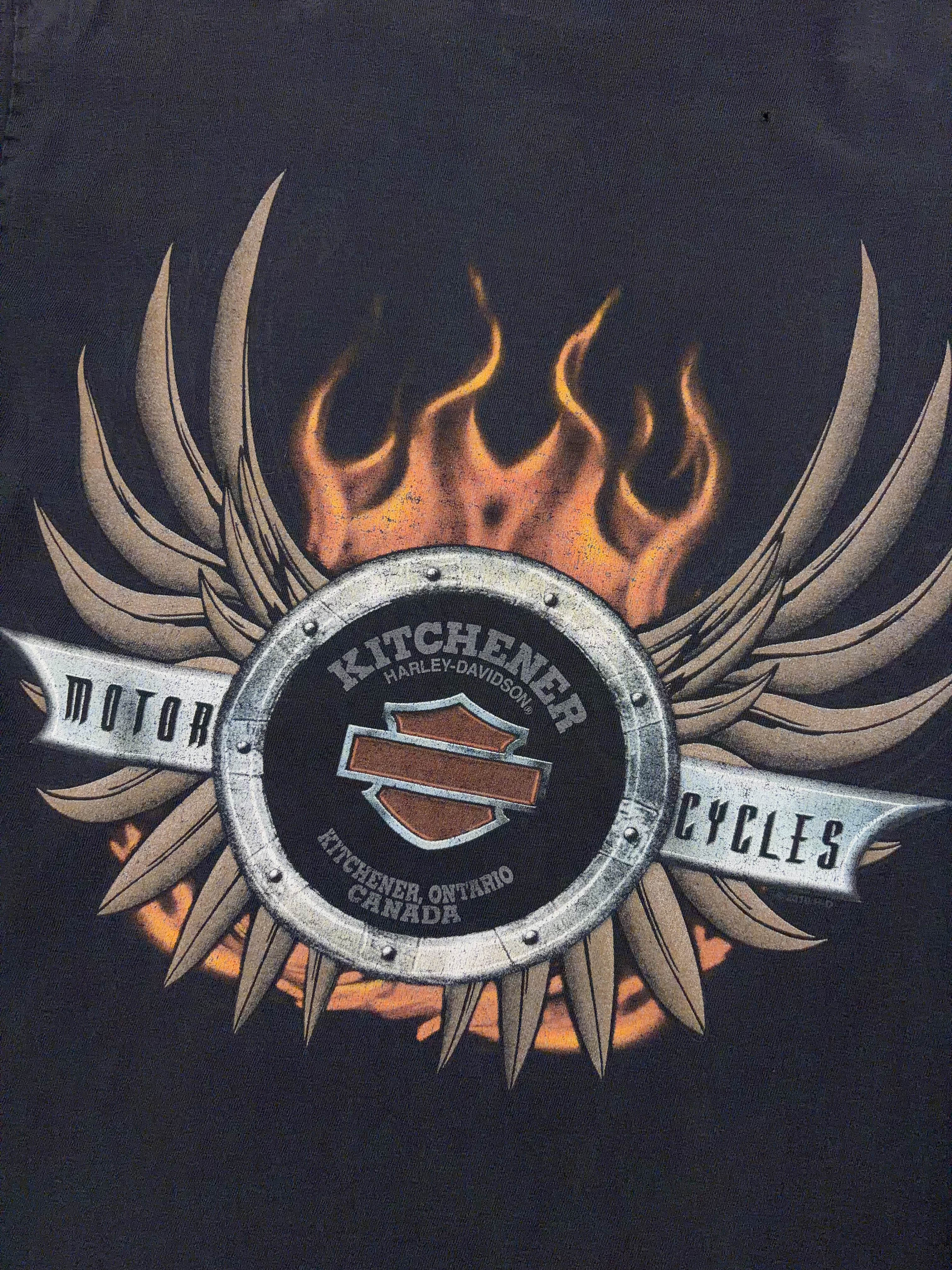Harley Davidson Flaming Skull Graphic T-Shirt Size Medium
