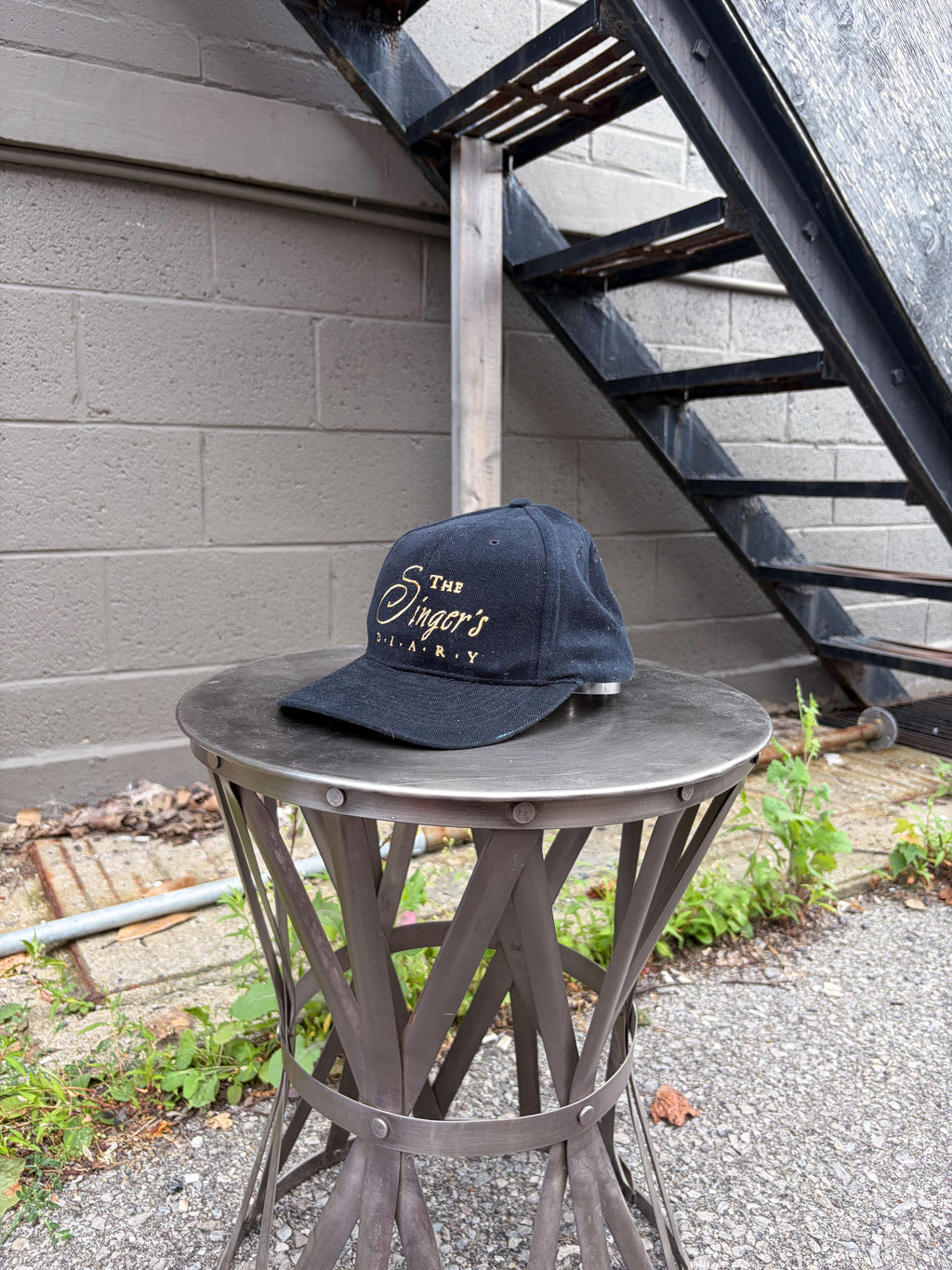 Vintage Reba McEntire The Singer's Diary Country Music Strapback Hat OSFA