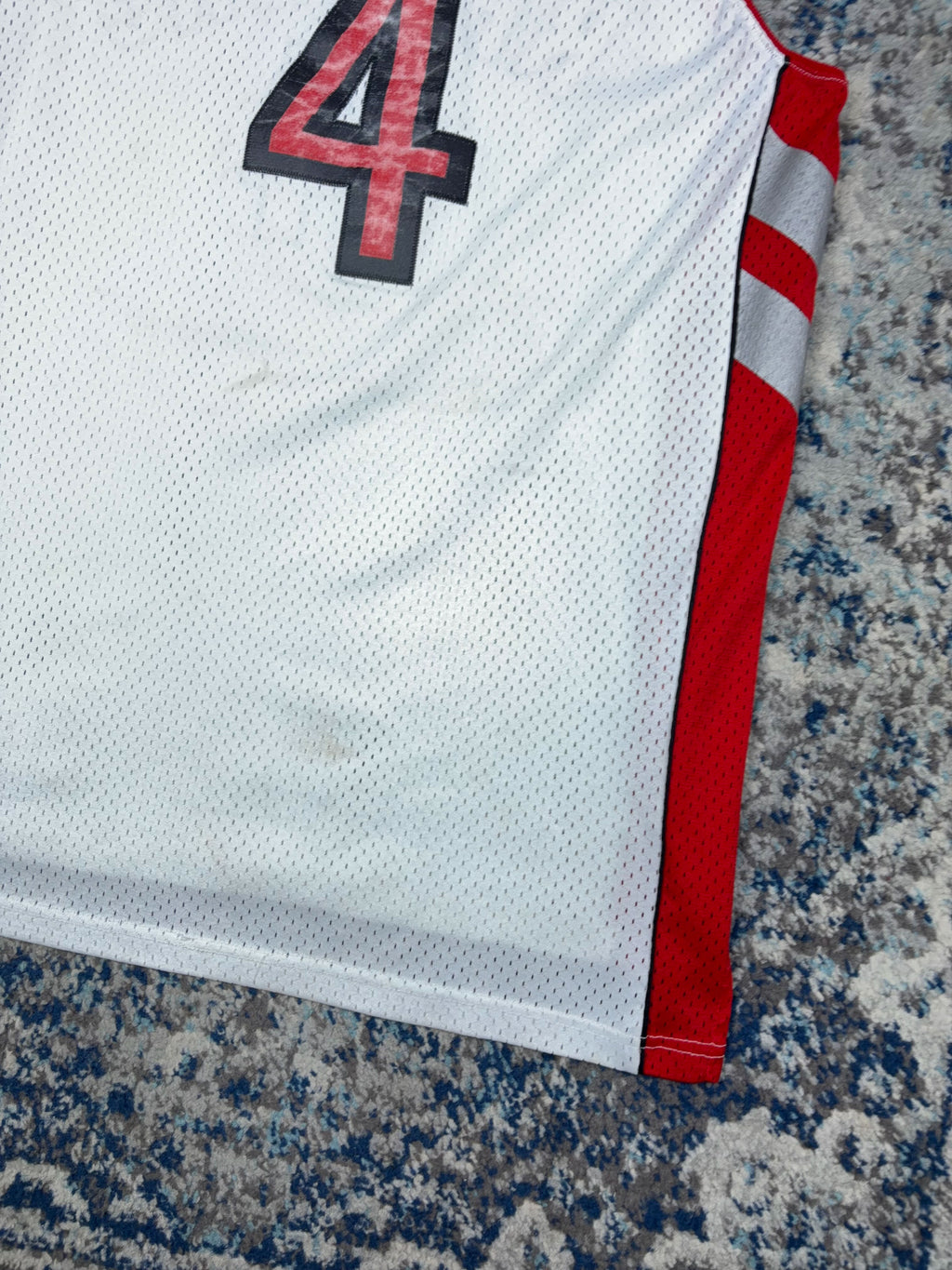 Vintage Chris Bosh #4 Toronto Raptors NBA Basketball Jersey Size Large