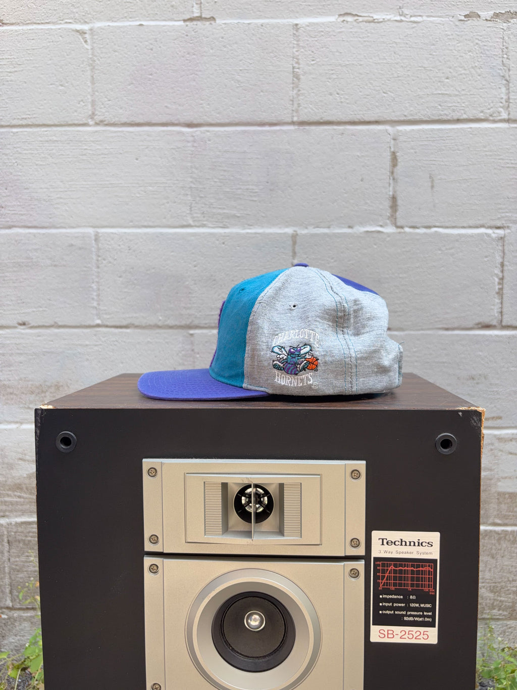 Vintage 90s Charlotte Hornets NBA Embroidered Logo Starter Snapback Hat OSFA
