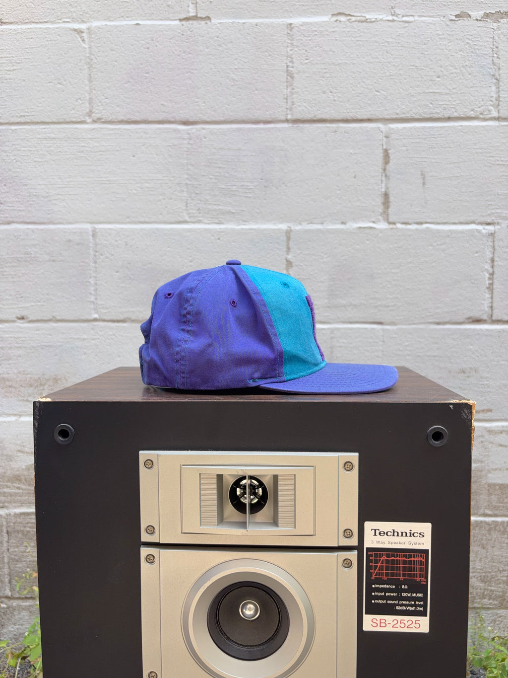 Vintage 90s Charlotte Hornets NBA Embroidered Logo Starter Snapback Hat OSFA