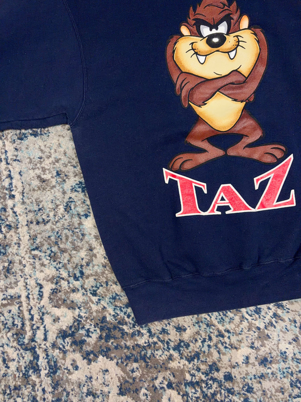 Vintage Looney Tunes Taz Character Graphic Spellout Sweatshirt Size Large