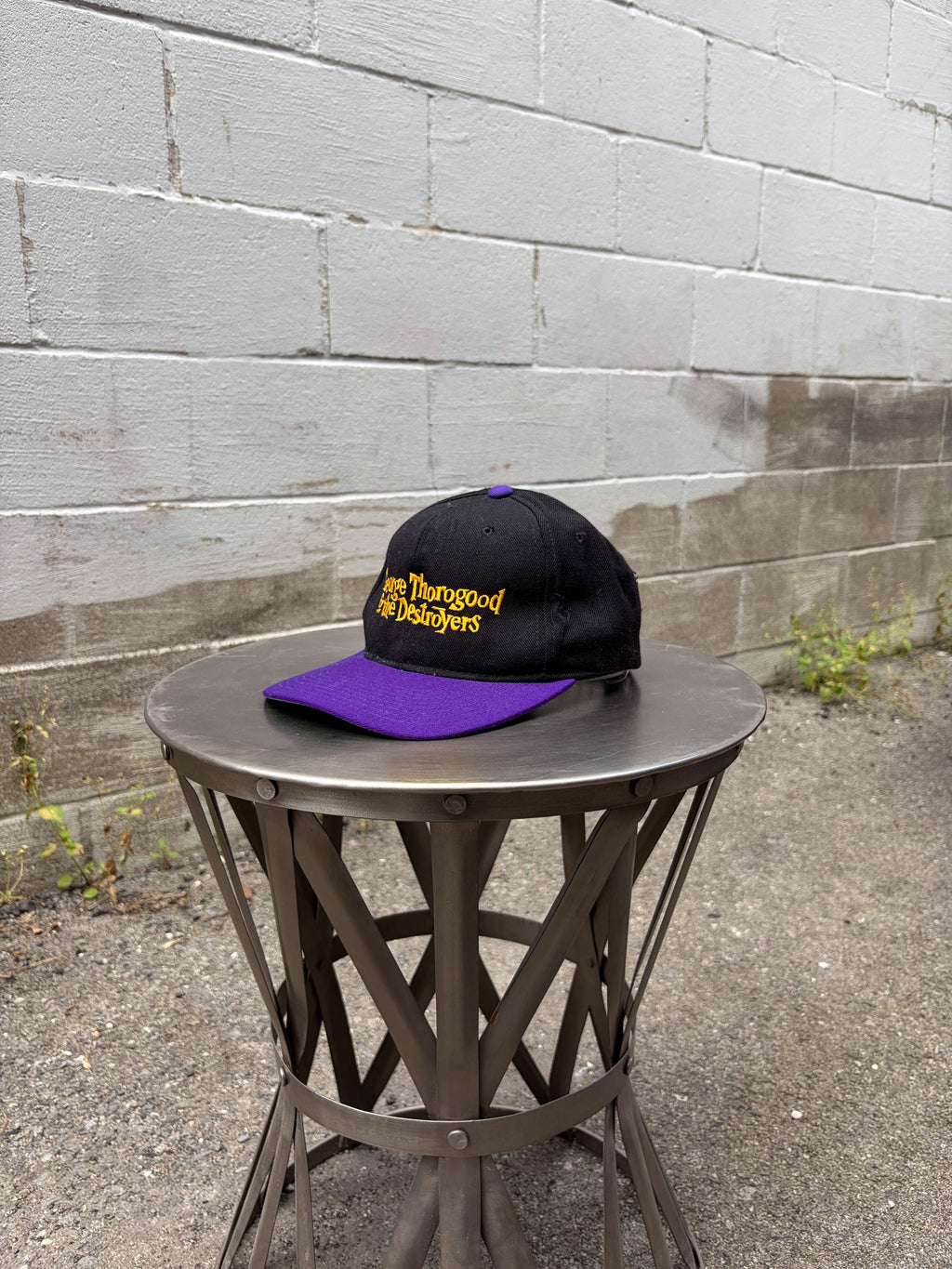 Vintage George Thorogood & The Destroyers Embroidered Logo Snapback Hat OSFA