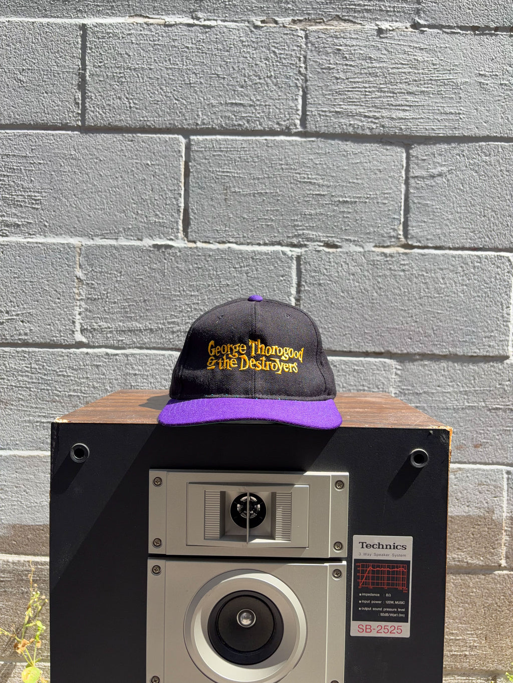 Vintage George Thorogood & The Destroyers Embroidered Logo Snapback Hat OSFA
