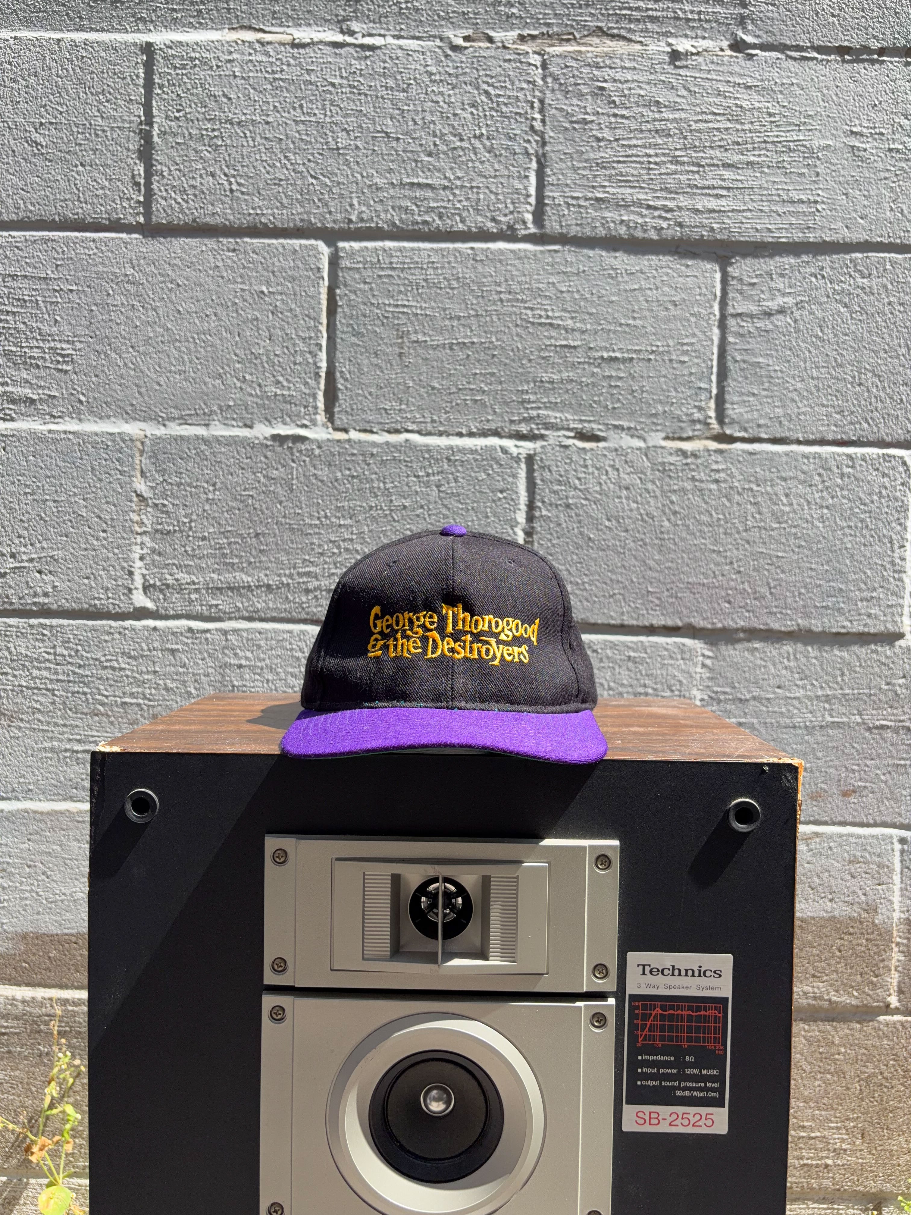 Vintage George Thorogood & The Destroyers Embroidered Logo Snapback Hat OSFA