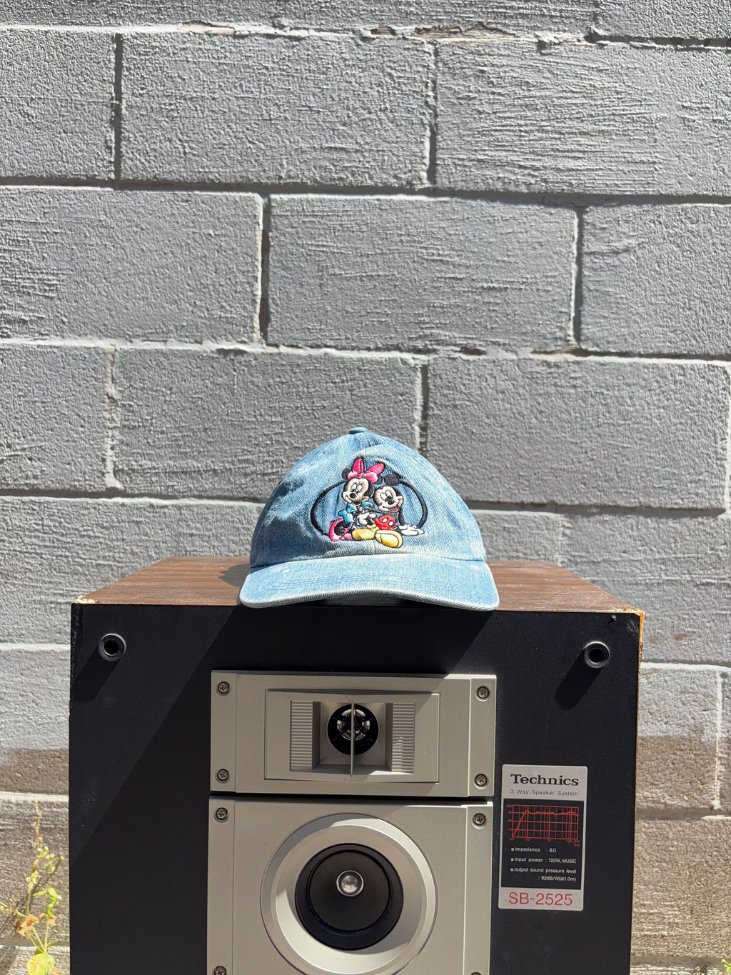 Vintage Mickey & Minnie Mouse Disney Embroidered Character Flexfit Hat OSFA