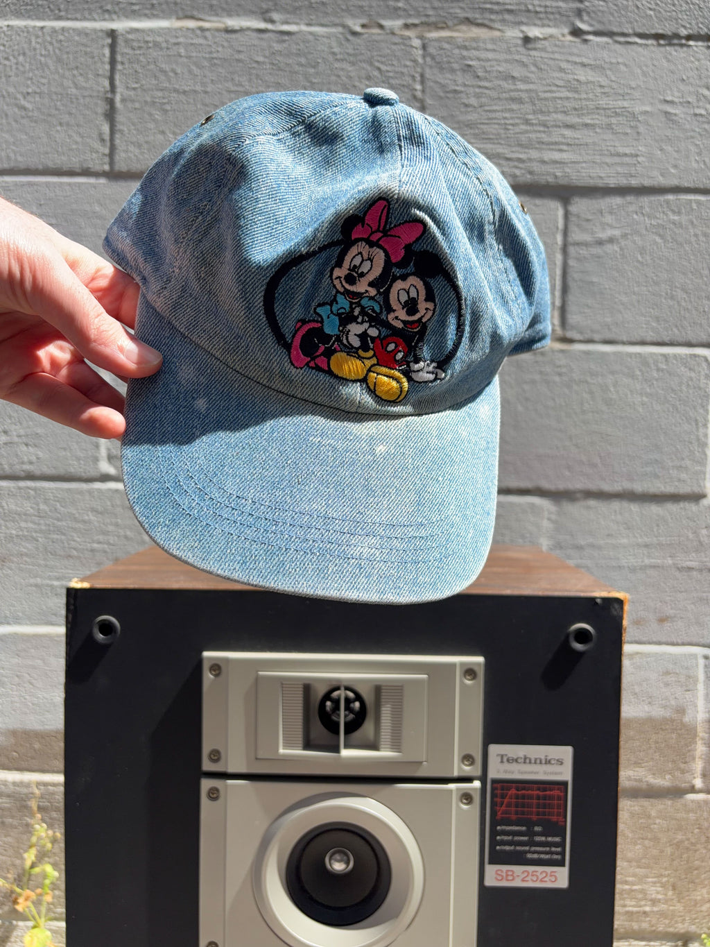 Vintage Mickey & Minnie Mouse Disney Embroidered Character Flexfit Hat OSFA