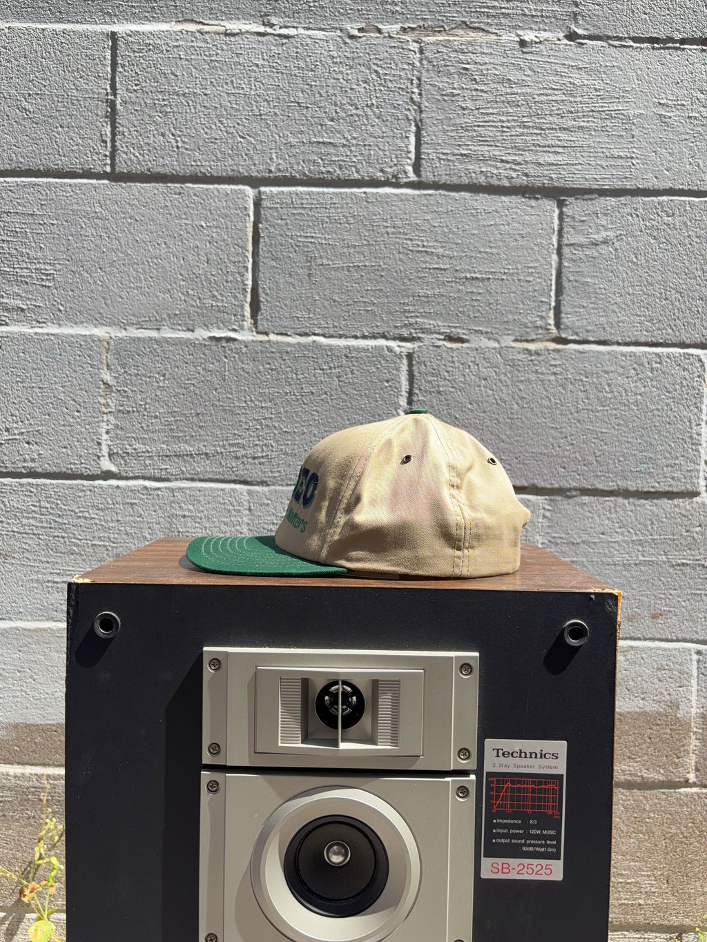 Vintage 90s Rodeo Nothing Else Matters Embroidered Spellout Snapback Hat OSFA