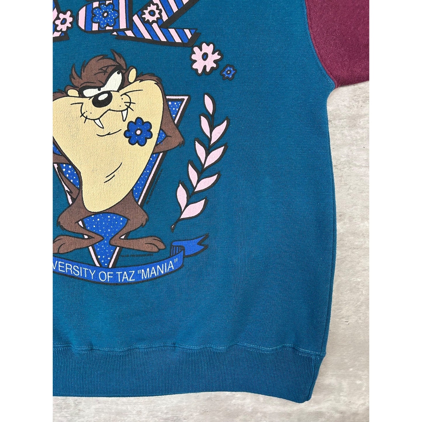 Vintage 1993 Looney Tunes University Of Tazmania Taz Graphic Sweatshirt Medium
