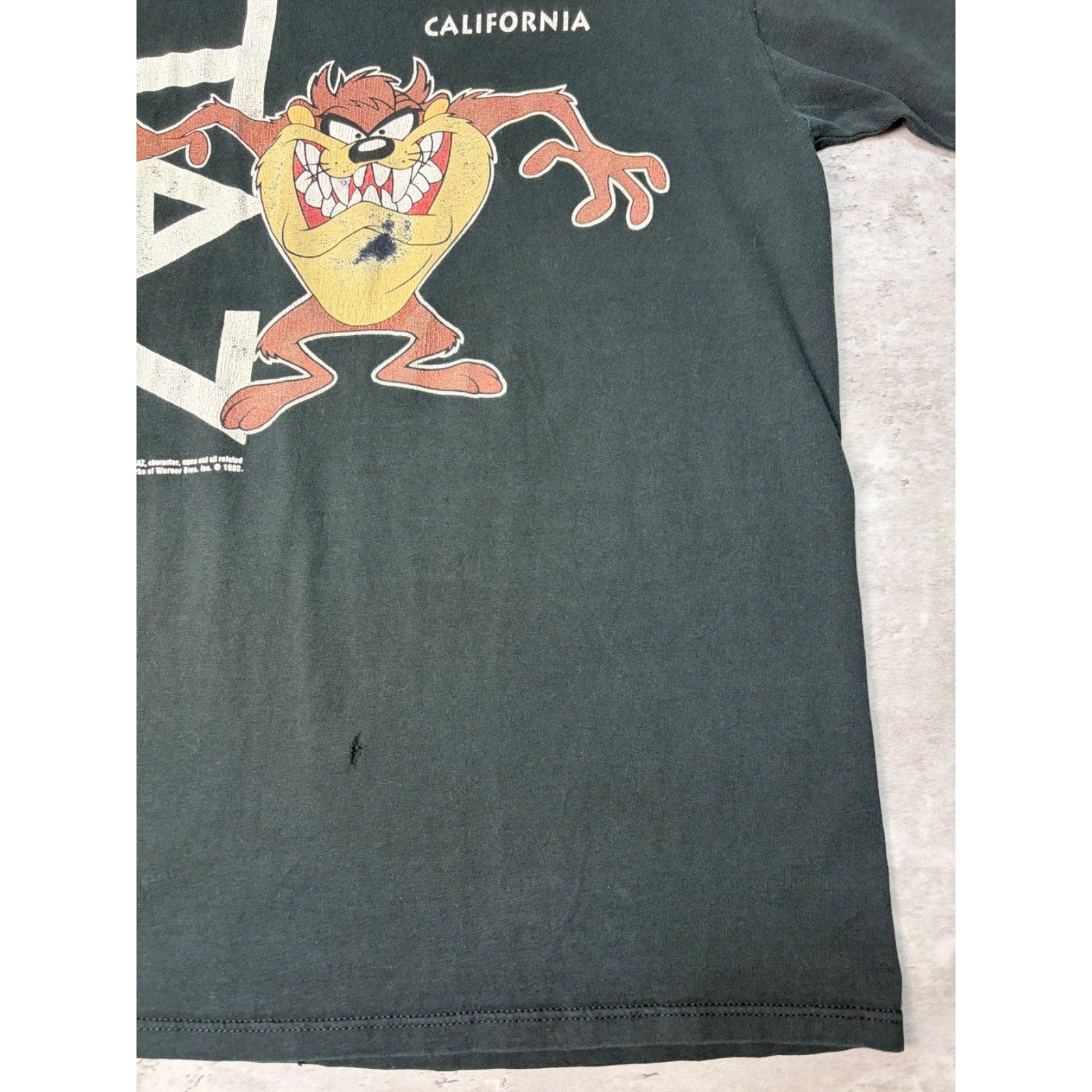 1992 Looney Tunes Taz California Cartoon Graphic Destination T-Shirt Size Medium