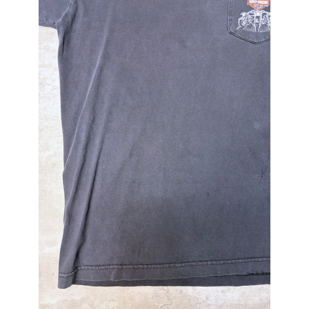 Vintage 2005 Harley Davidson Buffalo Destination Graphic T-Shirt Size Large
