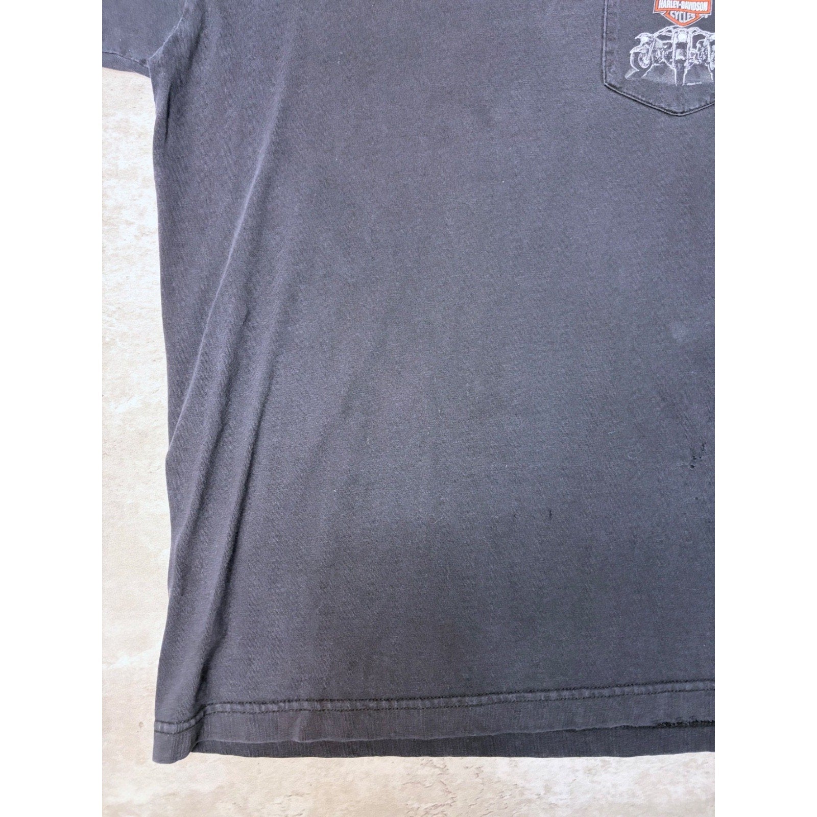 Vintage 2005 Harley Davidson Buffalo Destination Graphic T-Shirt Size Large