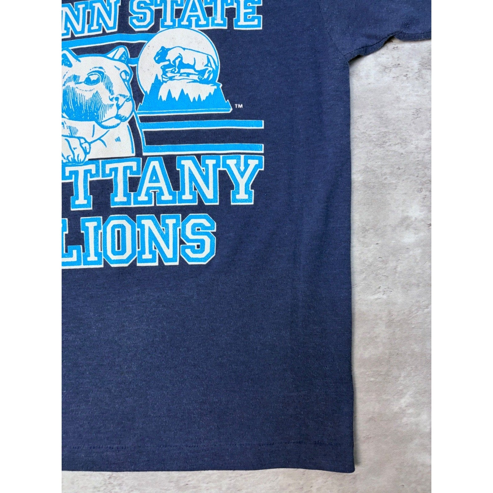 Vintage 80s/90s Penn State Nittany Lions NCAA Spellout T-Shirt Sz XL YOUTH